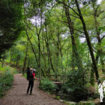 Parque Natural de Cotorredondo
