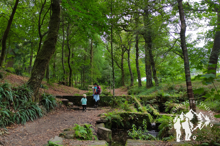 Parque Natural de Cotorredondo