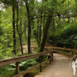 PR-G-243 Roteiro do río Mercurín (Ordes)