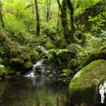 Río Riamonte (Ames)