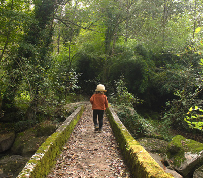 Ruta rego dos Roxos (Villestro)