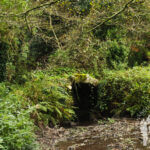 Puente Medieval