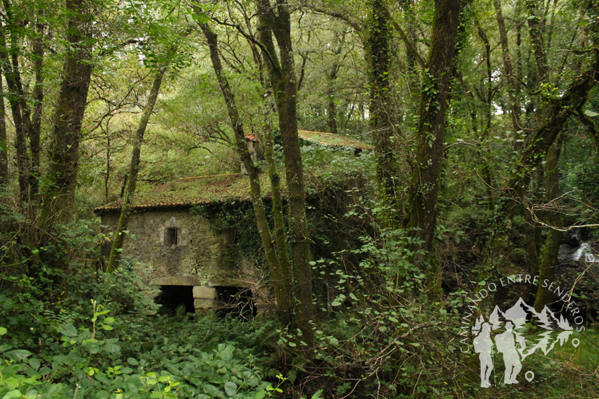 Fervenza de Gatofero (Santiago)