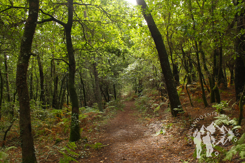 Ruta rego dos Roxos (Villestro)