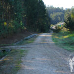 Ruta forestal de Veigue (Sada)