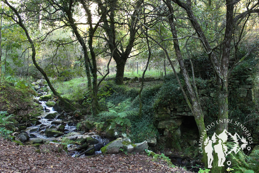 Río Freixa