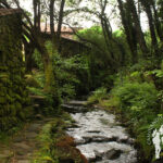 Ruta dos Muiños da Freixa
