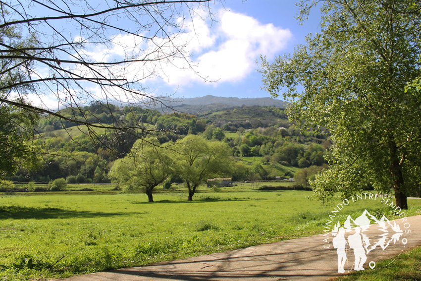 Jardín Botánico de Panes (Asturias)