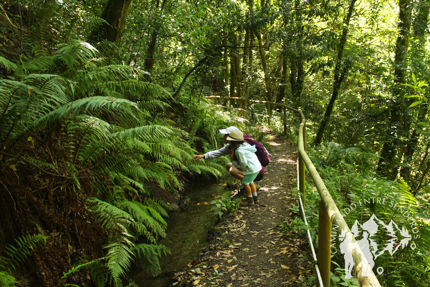 Canal de agua Muiño da Veiga Grande