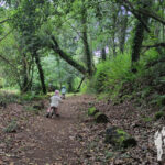 Senda dos Muiños da Fraga do Xarío (Miño)