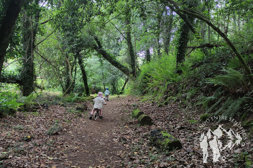 Senda dos Muiños da Fraga do Xarío (Miño)