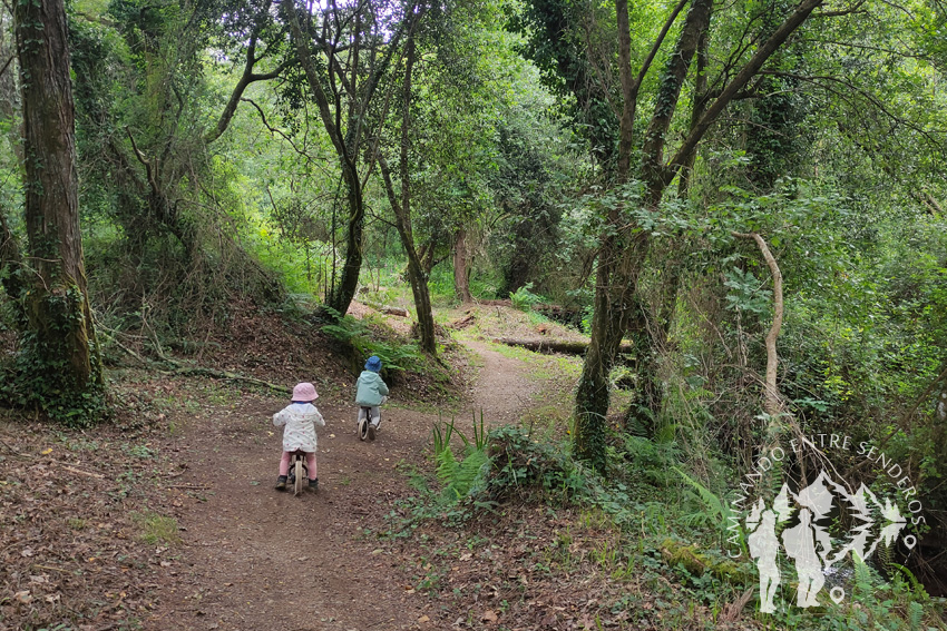 Senda dos Muiños da Fraga do Xarío (Miño)
