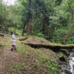 Senda dos Muiños da Fraga do Xarío (Miño)