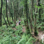 Senda dos Muiños da Fraga do Xarío (Miño)