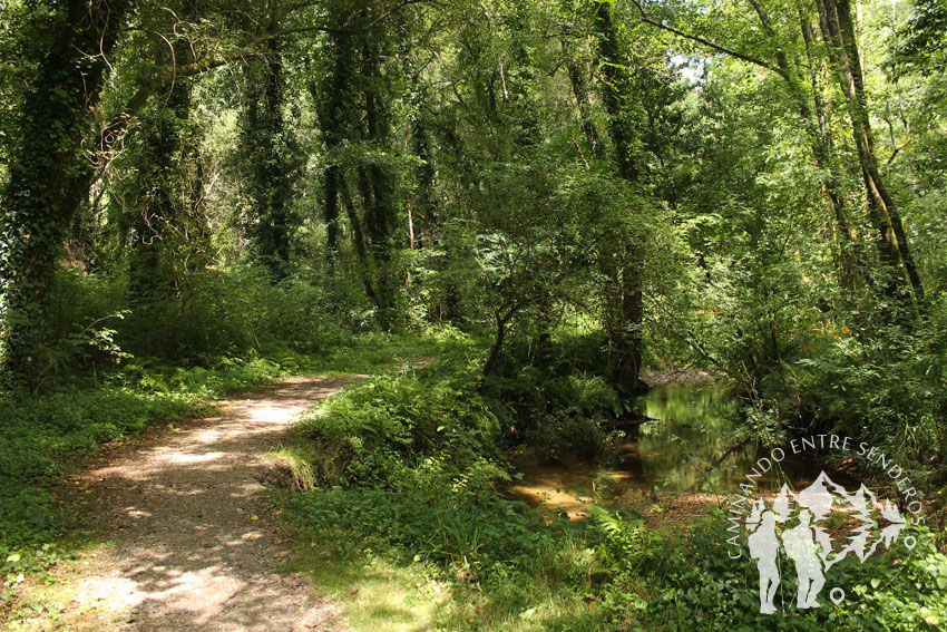 Ruta do Rego dos Pasos (Ames)