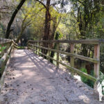 Senda do río Sar (Santiago de Compostela)