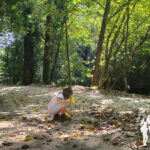 Senda do río Sar (Santiago de Compostela)