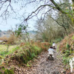 Ruta ornitológica El Bosque Animado (Crendes)