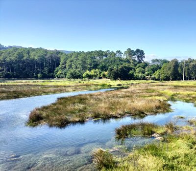 Senda Fluvial Goiáns (Boiro)