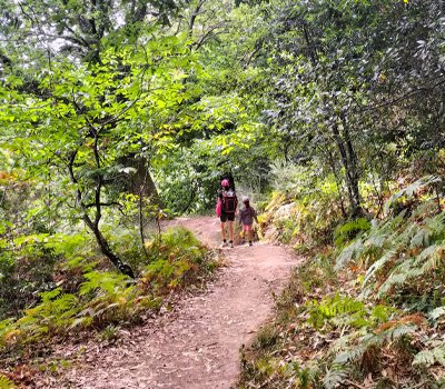 Sendero da Costa (Cabanas)