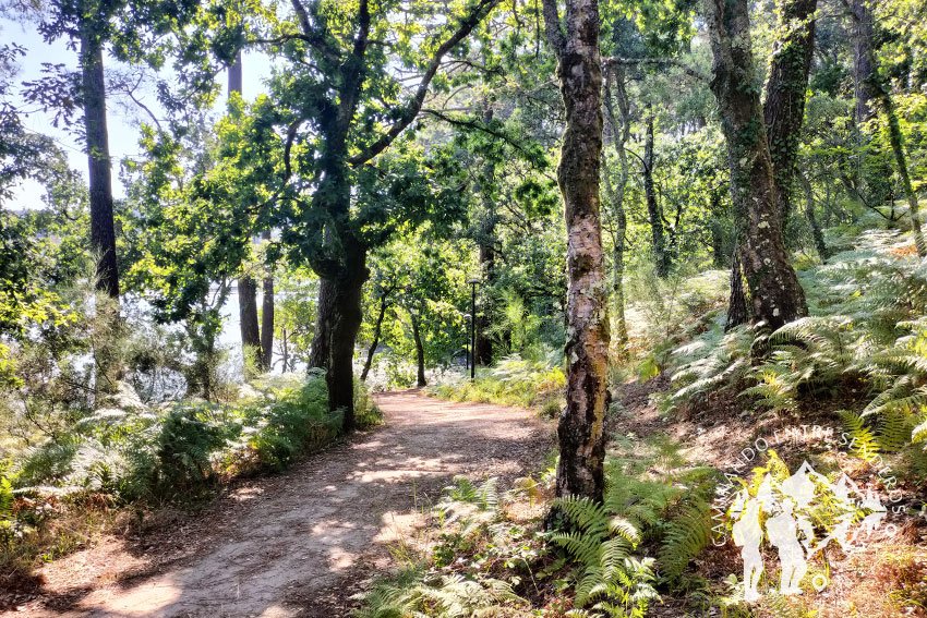Senda Fluvial Goiáns (Boiro)