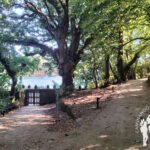 Senda Fluvial Goiáns (Boiro)