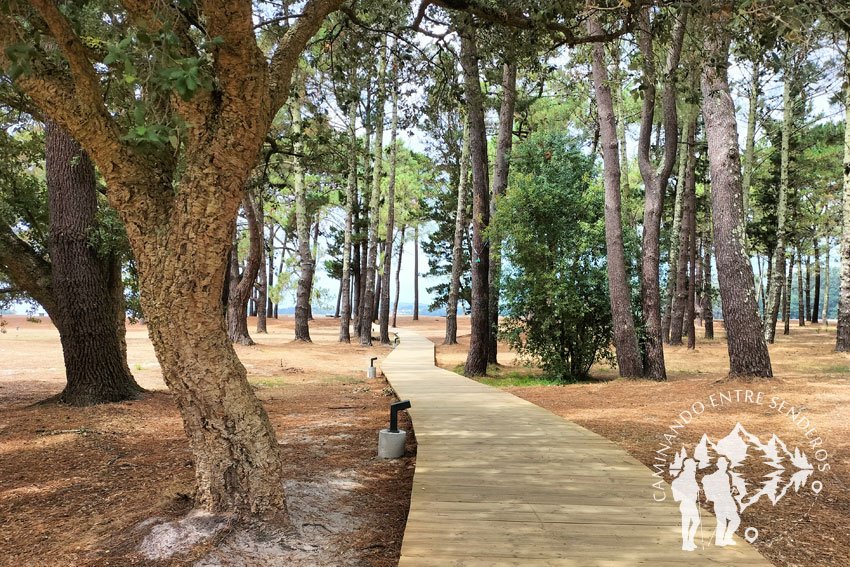 Pasarela Playa de la Magdalena