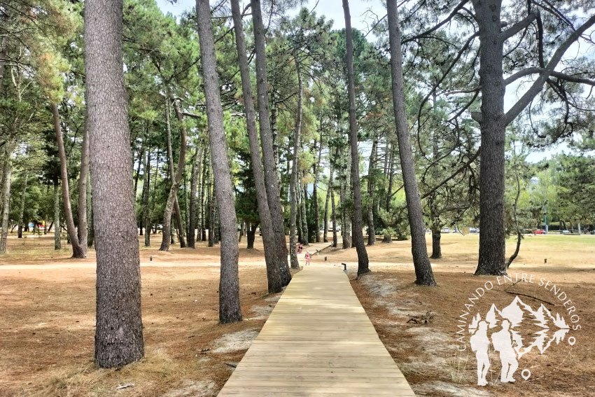 Pasarela Playa de la Magdalena