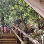 Escaleras madera Sendero da Costa