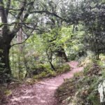 Sendero da Costa
