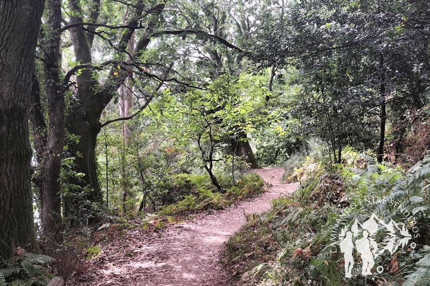 Sendero da Costa