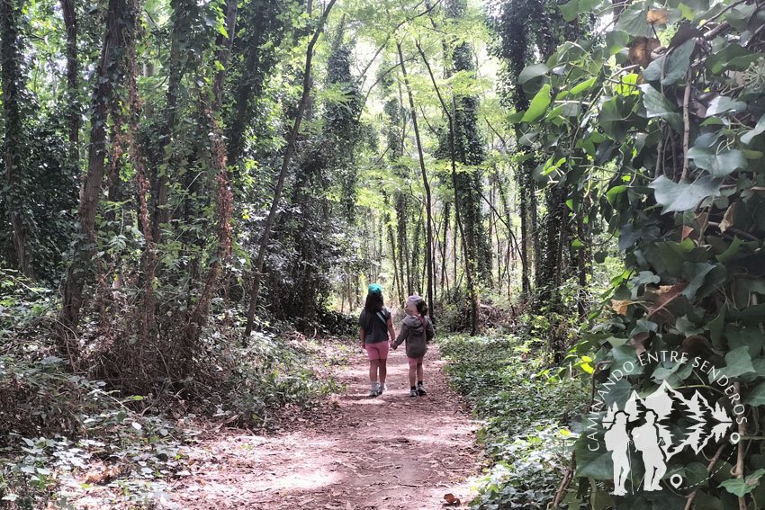 Sendero da Costa