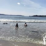 playa de Chamoso