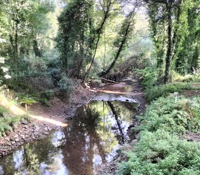 Ruta del Agua del Río Barcés (Abegondo)