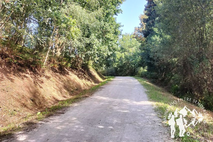 Ruta del Agua del Río Barcés (Abegondo)