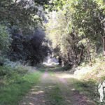 Ruta del Agua del Río Barcés (Abegondo)