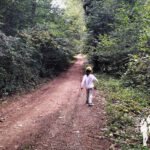 Bosque hacia rio Sil