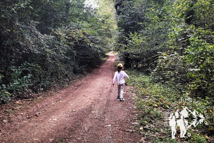 Bosque hacia rio Sil
